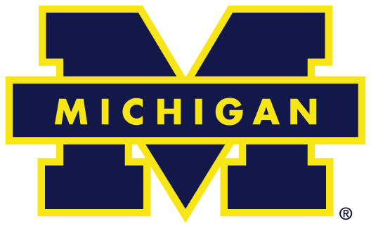 Michigan Wolverines 1988-1996 Primary Logo diy fabric transfer